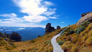 Tuatapere Hump Ridge Track